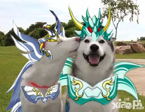 圣斗士星矢手游