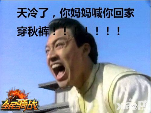 全民骑战宠物