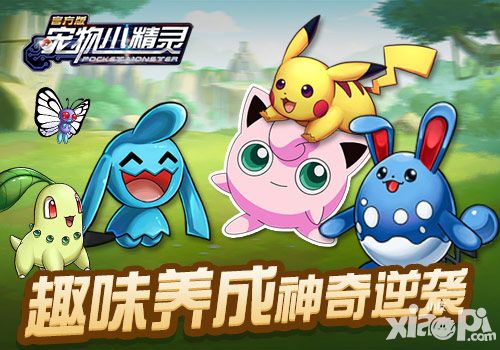 宠物小精灵元宵活动