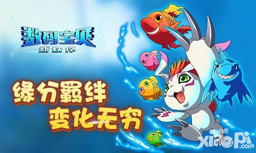 数码宝贝新秩序测试