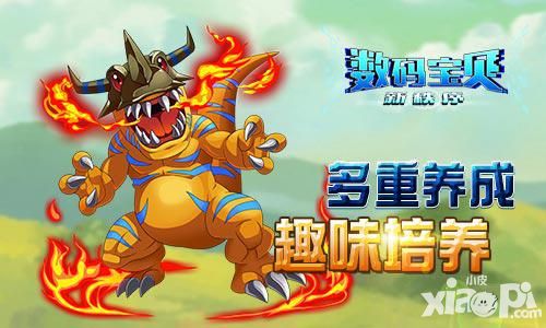 数码宝贝新秩序玩法