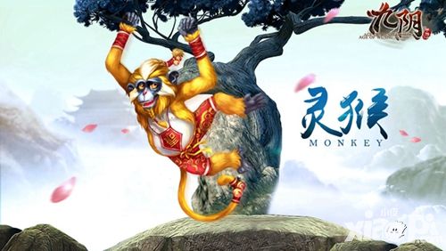 九阴宠物系统