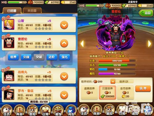 勇闯海上世界!《航海王强者之路》开启属性培养