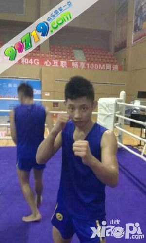 见义勇为被判刑 《去吧海贼王》抉择玩法曝光