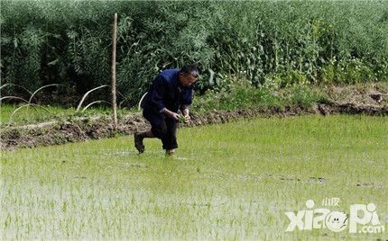 羞羞的魔女装备穿衣