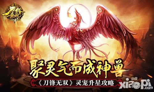 聚灵气而成神兽 《刀锋无双》灵宠升星攻略