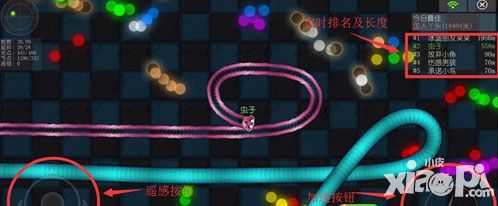 虫虫大作战怎么玩 虫虫大作战玩法技巧攻略