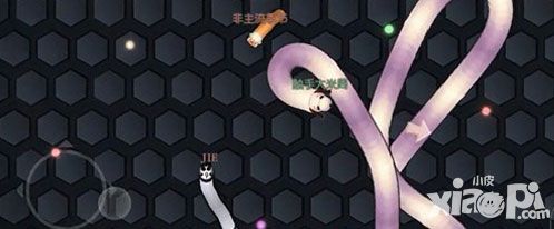 虫虫大作战开局发育攻略 如何快速长又粗_小皮