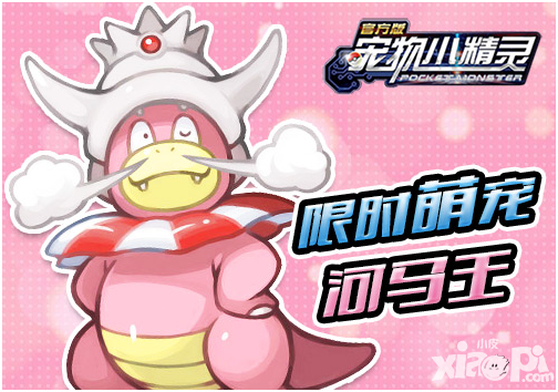 宠物小精灵内容