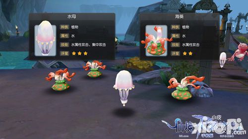 仙境传说RO体验