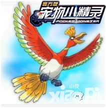 宠物小精灵内容
