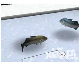 生存战争鲈鱼怎么样 鲈鱼属性特点详细介绍