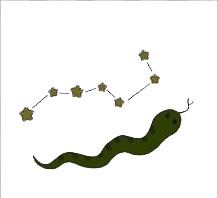 疯狂猜成语蛇和星星答案分享