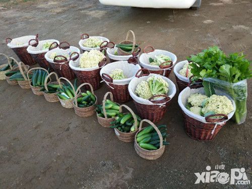 疯狂邻居风格