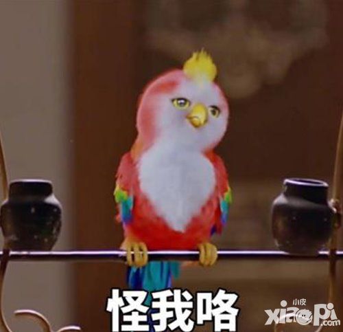 楚乔遭绑架伺候 《楚乔传》手游剧透如何脱险