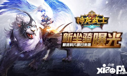 神龙武士资料片
