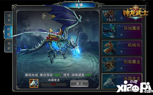 神龙武士资料片