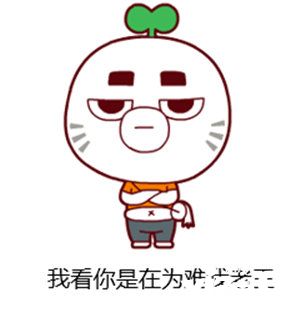超燃冒险团金银岛怎么玩