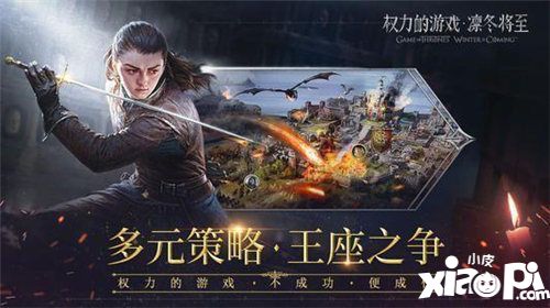 ip市场纵向深化