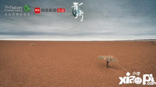 青璃ios明日上线