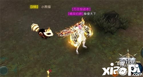 “开年首秀《奇迹：最强者》4S战宠小熊猫亮相