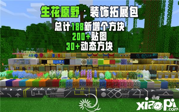 我的世界