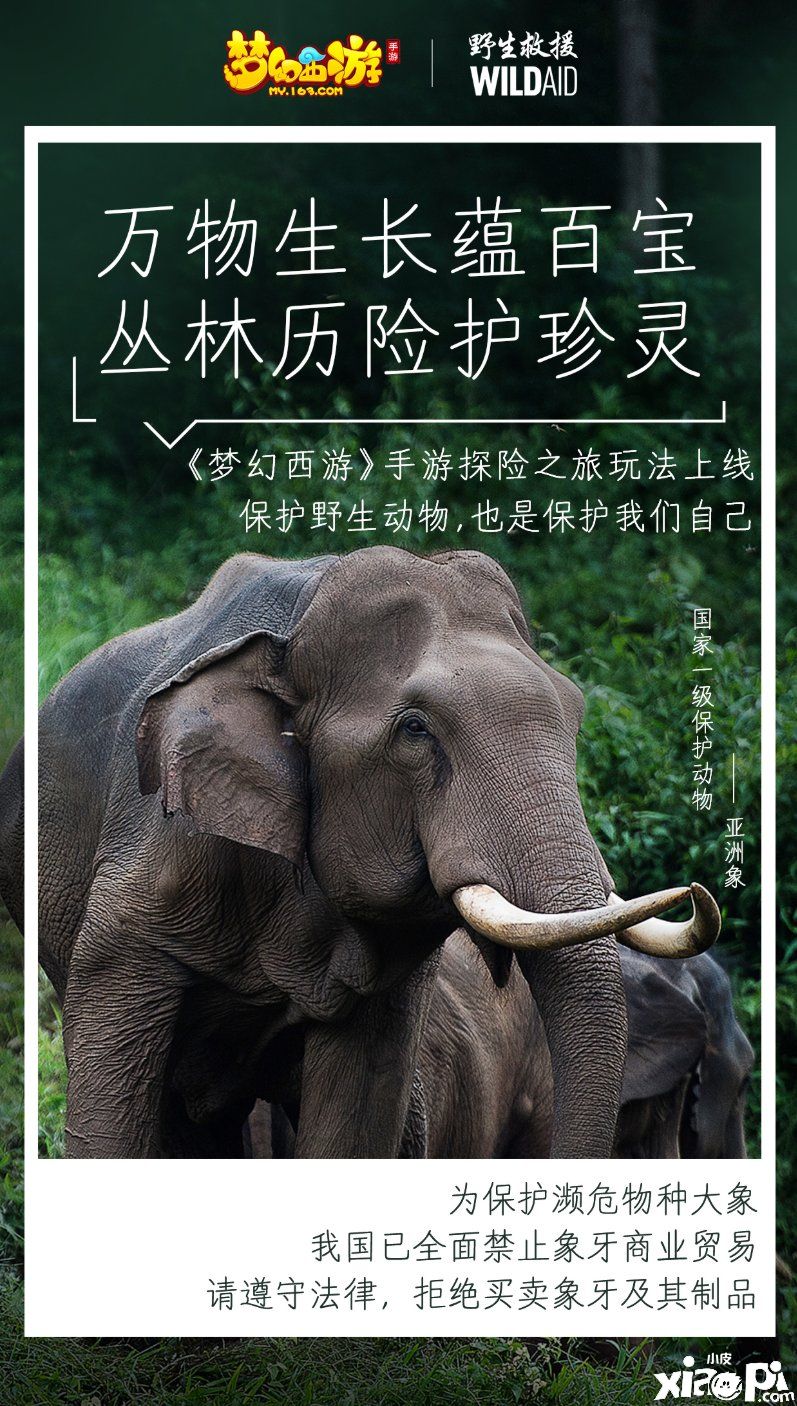 梦幻西游手游