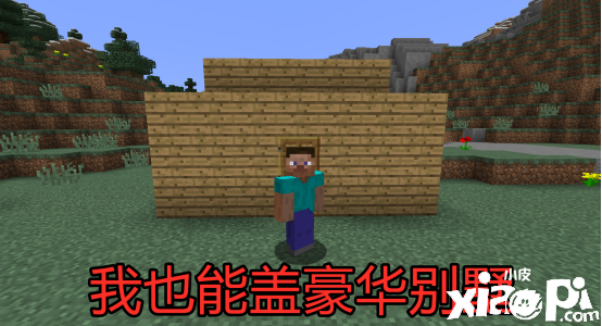 我的世界