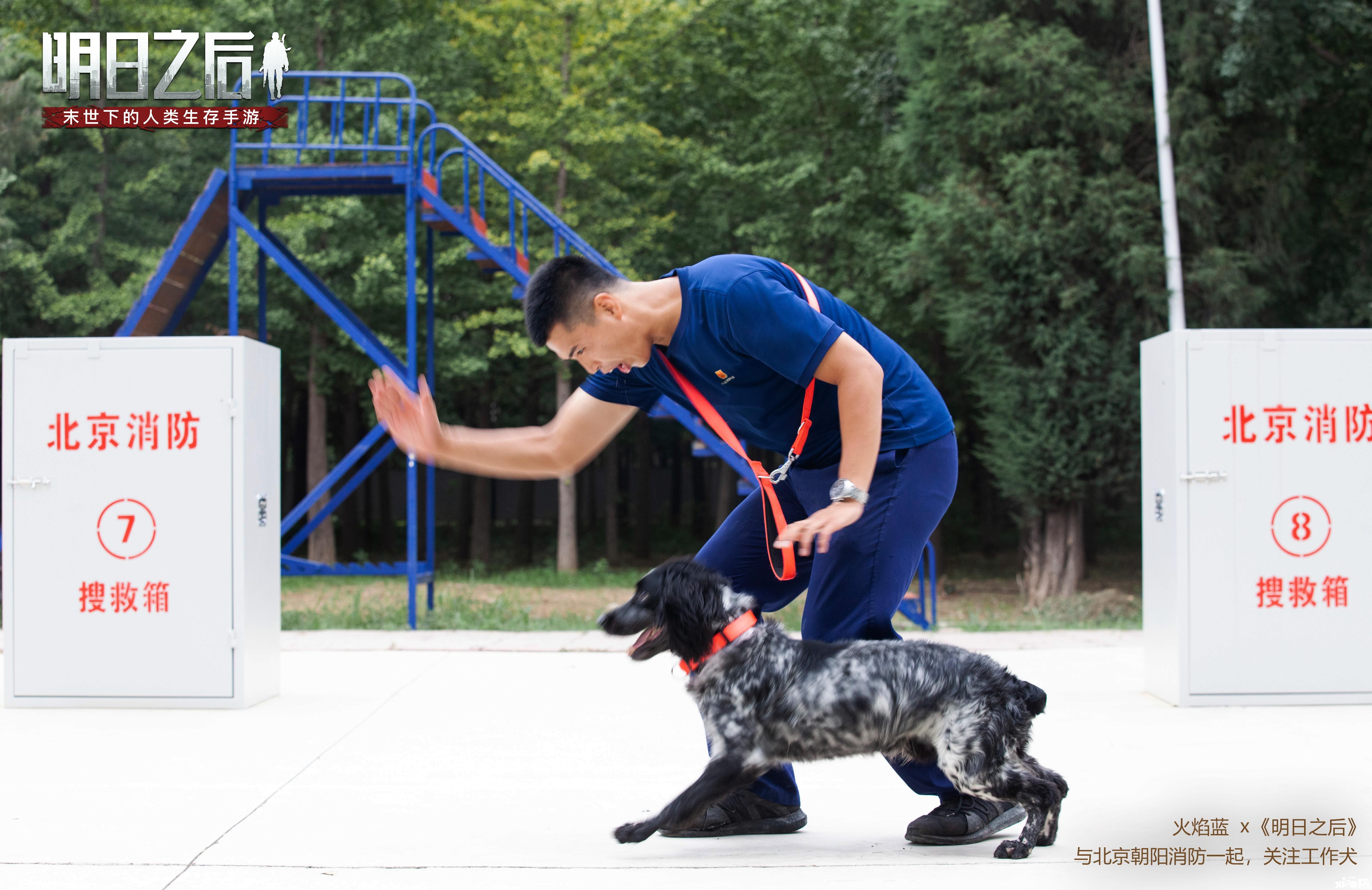 火焰蓝X《明日之后》科普开启,千万玩家关注工作犬
