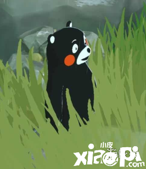 海岛纪元中的强力宠物推荐