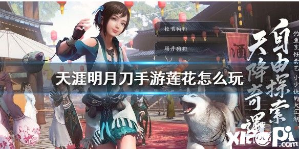 天涯明月刀手游莲花宝藏的玩法攻略