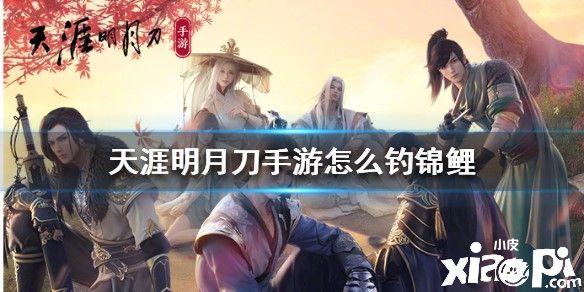 天涯明月刀手游中钓锦鲤的攻略