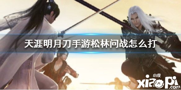 天涯明月刀手游松林问战打法攻略