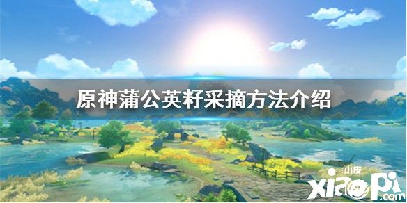原神蒲公英籽的采摘方法