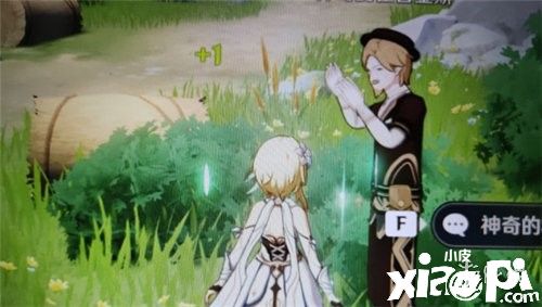 原神圣水的作用介绍