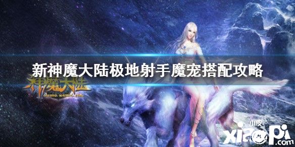 新神魔大陆极地射手魔宠选择推荐