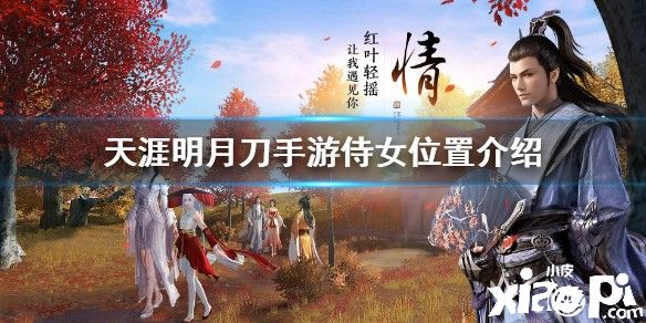 天涯明月刀手游江南聆音楼侍女位置介绍