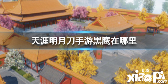 天涯明月刀手游黑鹰的位置及达成攻略