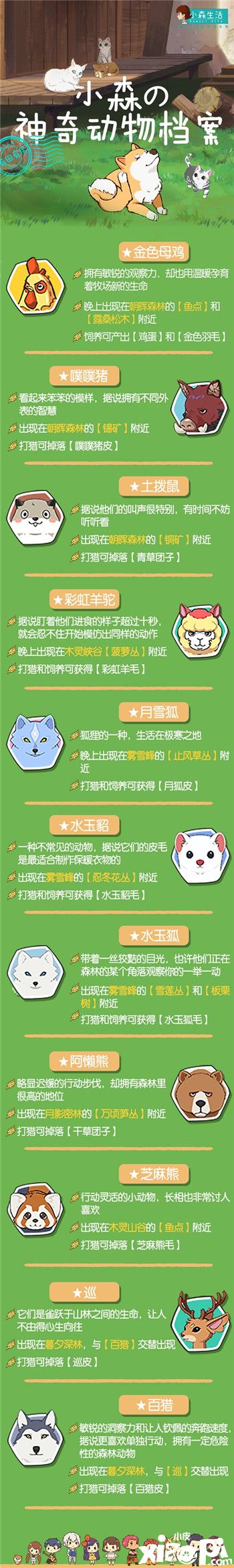 神奇动物在哪里?《小森生活》发布萌宠档案!