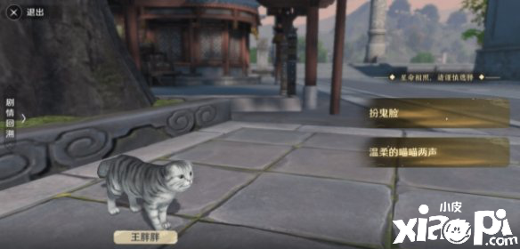 天涯明月刀手游猫之友奇遇攻略