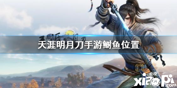 天涯明月刀手游鲥鱼位置介绍