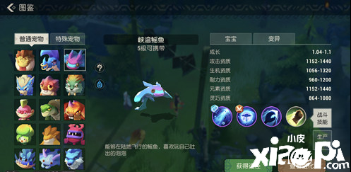 海岛纪元峡湾鳐鱼宠物介绍