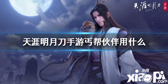 天涯明月刀手游丐帮伙伴搭配推荐