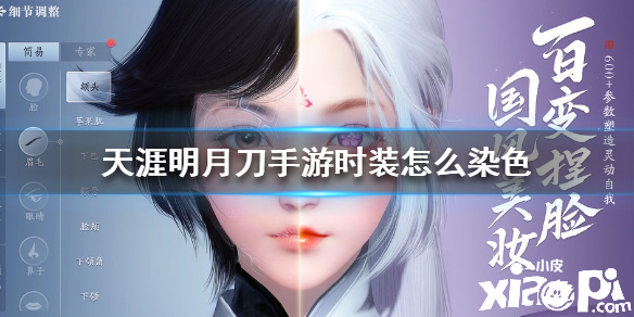 天涯明月刀手游时装怎么染色