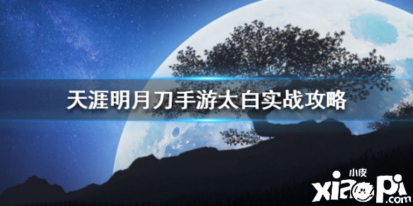 天涯明月刀手游太白实战攻略