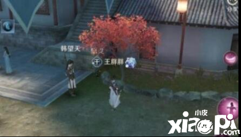 天涯明月刀手游失踪白兔奇遇任务攻略