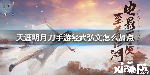 天涯明月刀手游经武弘文加点攻略
