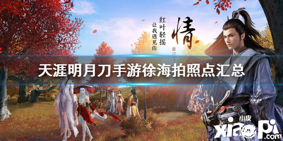 天涯明月刀手游徐海胜景录拍照点汇总