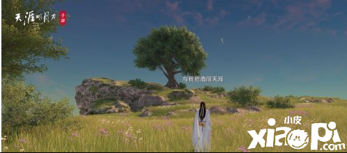 天涯明月刀手游侠客岛胜景录拍照点汇总