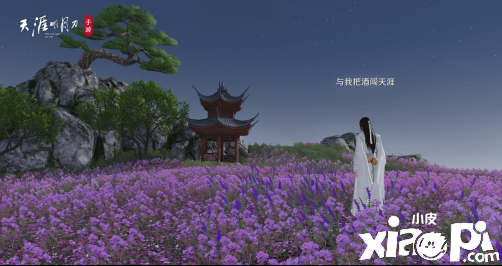 天涯明月刀手游移花胜景录拍照点汇总